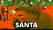 a picture of a bear with christmas decorations and the word santa