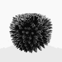 Ferrofluid GIF - Ferrofluid GIFs