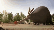 Ant Ball GIF - Ants Anteater Travelling Groups GIFs