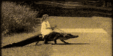a person riding on the back of a large alligator