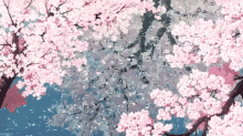 flower petal landscape spring tree