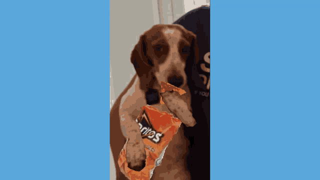 Doritos Nacho Doritos GIF Doritos Nacho Doritos Discover Share GIFs