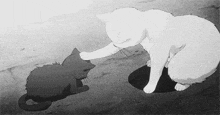 a black and white drawing of two cats playing with each other