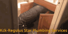 Kck Plumbing Regulus Star GIF - Kck Plumbing Regulus Star Kck GIFs