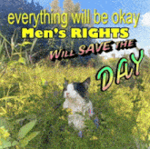 a black and white cat in a field with the words " everything will be okay men 's rights will save the day " above it