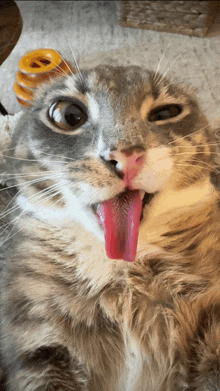 a cat is sticking its tongue out and looking up at the camera