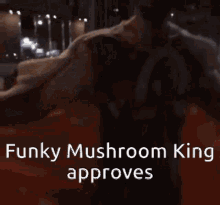 Funky Mushroom GIF - Funky Mushroom King GIFs