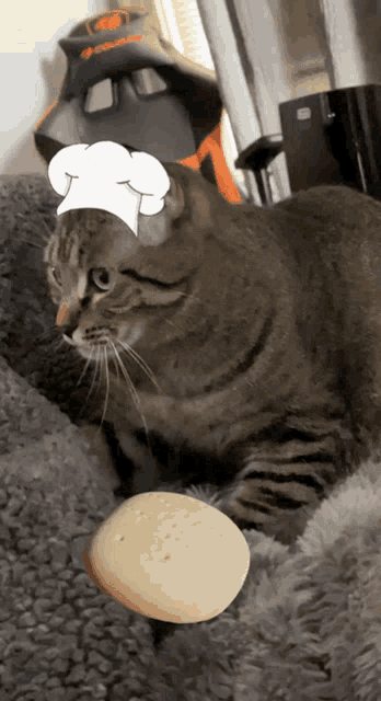 Kneading Cat GIF Kneading Cat Dough Discover Share GIFs