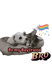a dog and a cat are laying in a bed with the words be my boyfriend bro