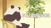 стыдно панда аниме краснею смущаюсь GIF