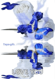 White Roses Blue Butterfly GIF - White Roses Blue Butterfly Love You GIFs