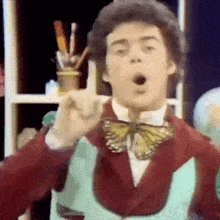 a man wearing a red jacket and a blue vest with a butterfly on it .