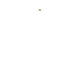 a black and yellow logo for a sports team shows a tiger 's head with its mouth open