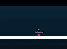 a screenshot of a video game with the words memmedli and the funniest visible