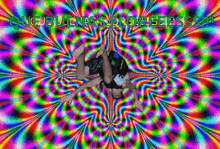 a colorful background with the words que buenas floresss on it