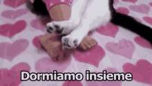 Insieme Dormire Abbracciati Bambino Gatto GIF - Together Sleeping Hugged GIFs