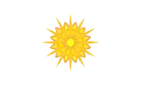 a yellow flower with a white background has a circular pattern
