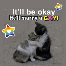 two cats hugging each other with the words it 'll be okay he 'll marry a gay behind them