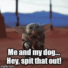 Baby Yoda Hey Spit That Out GIF