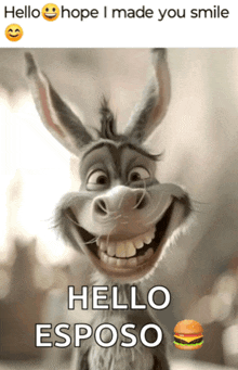 a donkey with a big smile and the words hello esposo on the bottom