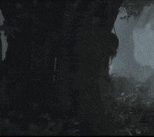 a blurry picture of a person in a dark forest