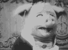 Pig Black And White GIF - Pig Black And White Weird Pig GIFs