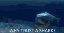 a picture of a shark with the words " why trust a shark " above it