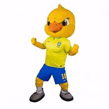 conseguimos canarinho cbf confedera%C3%A7%C3%A3o brasileira de futebol canarinho comemorando