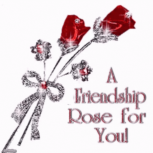 friendship roses red