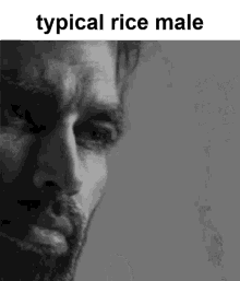 Rice Male Grain Male GIF