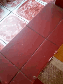 Red Floor Floor GIF - Red Floor Floor Tiles GIFs