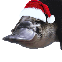 오리너구리 크리스마스 Platypus Sticker - 오리너구리 크리스마스 오리너구리 Platypus Stickers