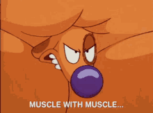 catdog dog muscles dog muscles with