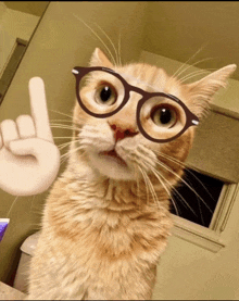 Cat Nerd Emoji GIF - Cat Nerd Emoji GIFs