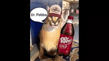 Dr Pebba Floppa GIF - Dr Pebba Floppa Spirte GIFs