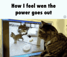 Cat Confused By Power Outage GIF - Power Outage Black Out Power Off GIFs