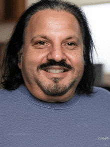 a man with long hair and a beard wears a blue gildan sweatshirt