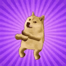 Doge Meme GIF - Doge Meme GIFs