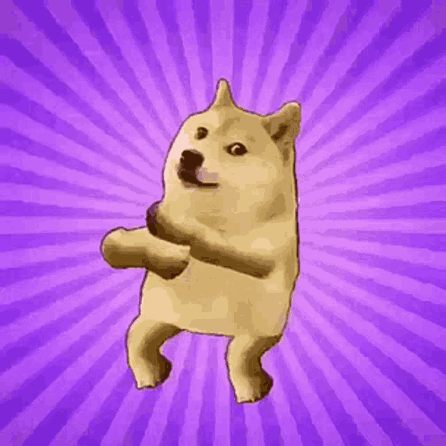 Doge Meme GIF - Doge Meme - Discover & Share GIFs