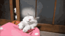 Cat Sleeping GIF - Cat Sleeping Sneaky GIFs