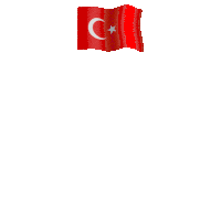 Cumhuriyetimizin 100 Yili Kutlu Olsun 29 Ekim Cumhuriyet Bayrami Sticker