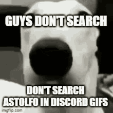 dog scared dont search