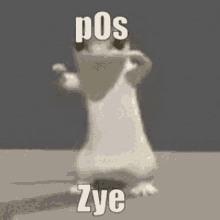 Nnc P Os Zye GIF - Nnc P Os Zye Reddit GIFs