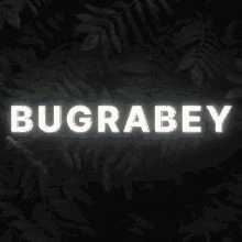 Bugrabey Turkishkebab GIF - Bugrabey Turkishkebab Kebabbey GIFs