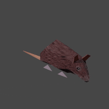 крыса Rat GIF - крыса Rat Spinning Rat GIFs