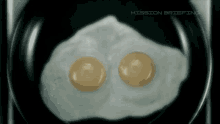 Metal Gear Eggs GIF - Metal Gear Eggs Sunny GIFs