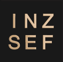 Inzsef Logo GIF