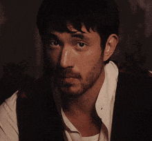 a man with a beard is wearing a white shirt and a brown vest