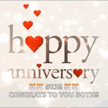 a happy anniversary # 23 congrats to you both greeting card