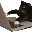 a black cat is laying on top of a laptop computer